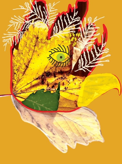 Chicken Leaf
