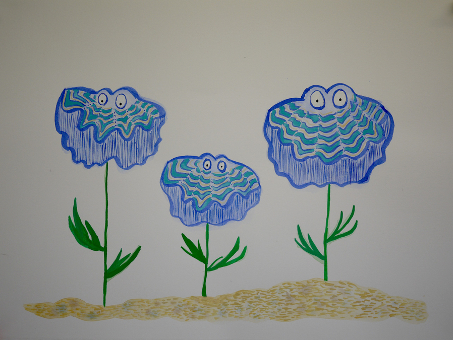 Cockle Flowers