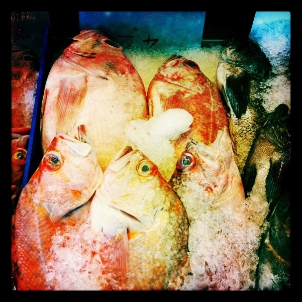 Fish Market