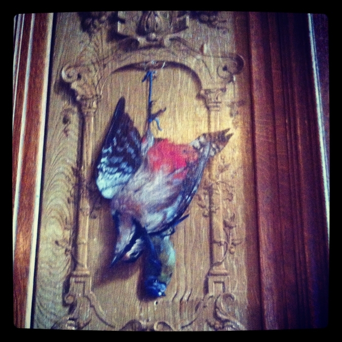 Bird Hunting