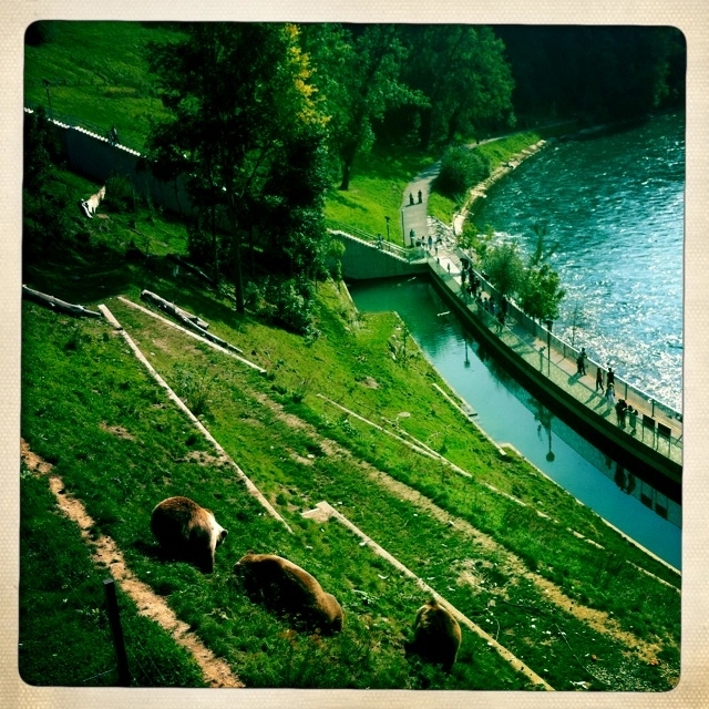 Barengraben Bear Park
