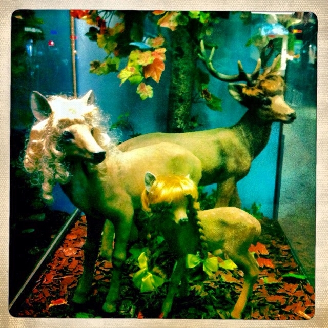 Hairdresser Window Dressing