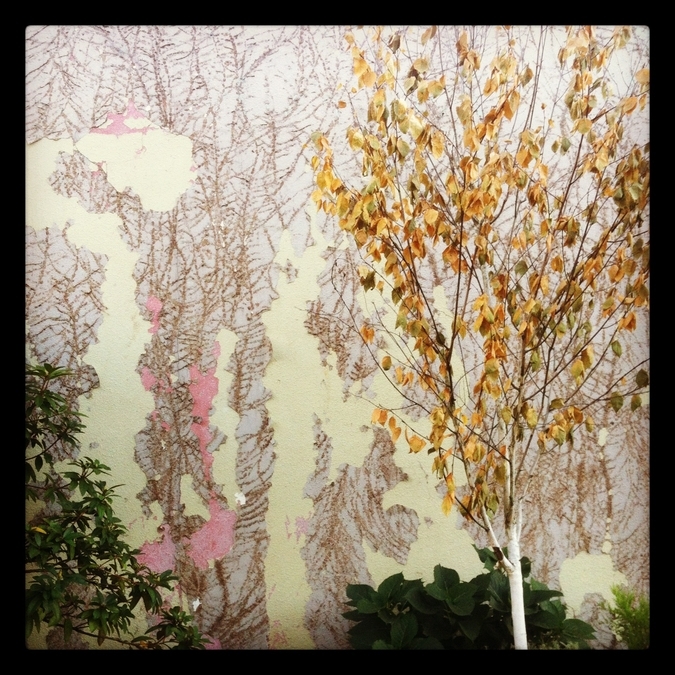 Vine Apparitions