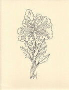 Tree Totem 2
